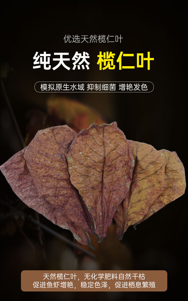 详情_01.jpg
