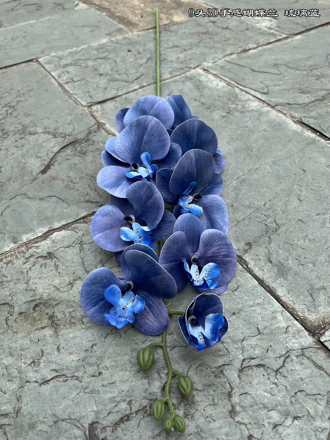 微信图片_20220506112925