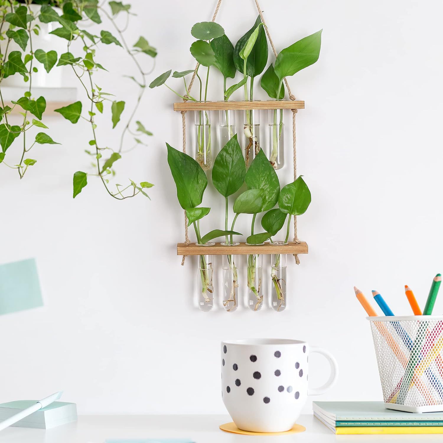 71eIY0M76RL._AC_SL1500_