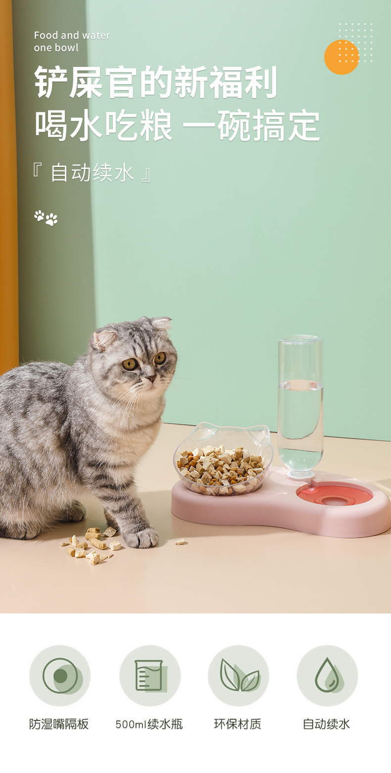 宠物碗_01.jpg?x-oss-process=image/format,png