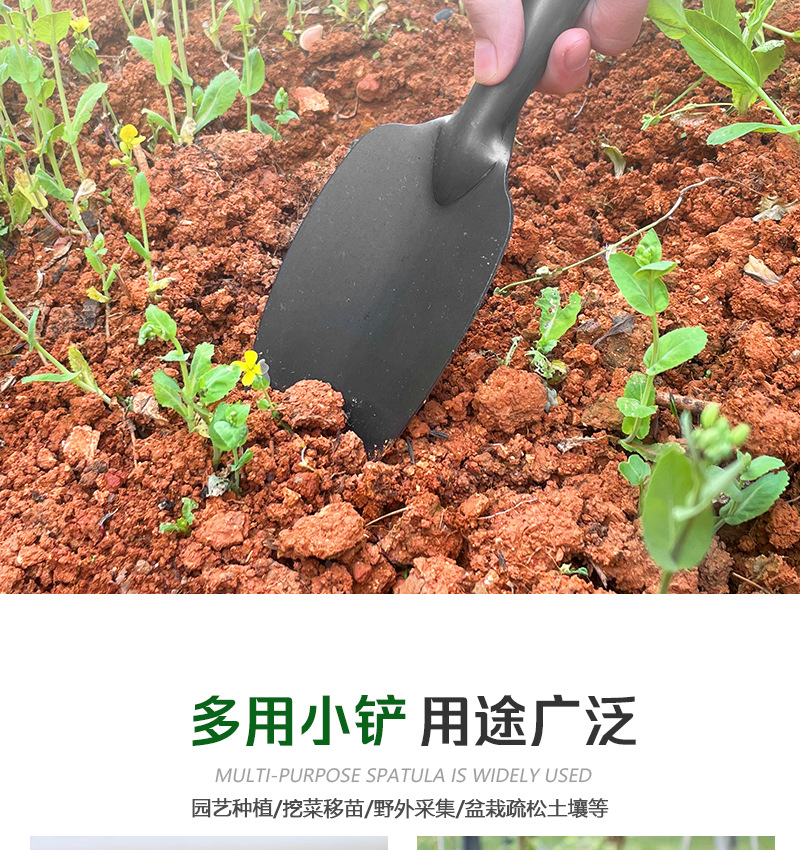 详情_05.jpg