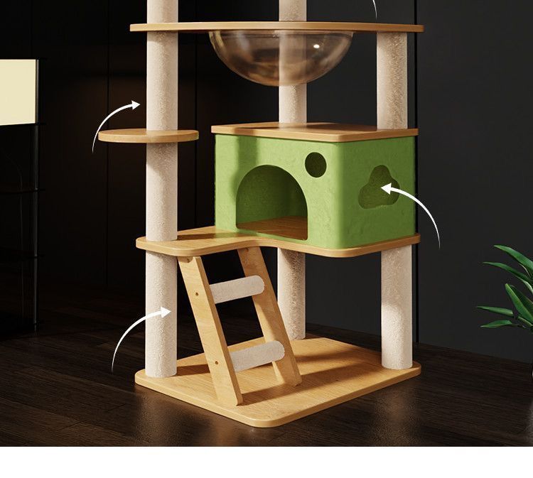 9d84fd49-7ea9-40d5-bf67-79a8ff7b5288.jpe