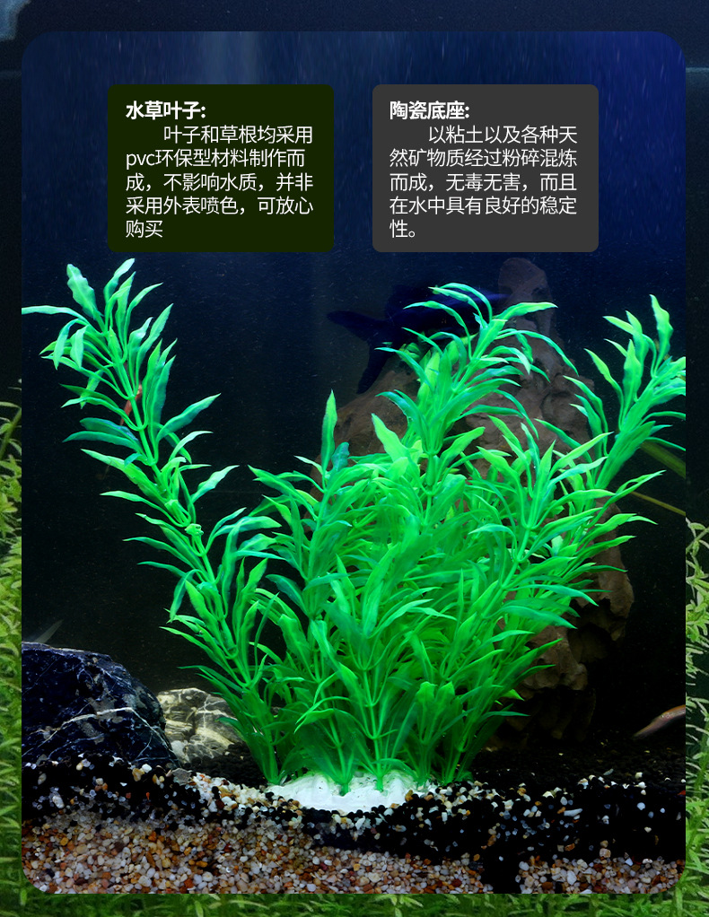 水草1_04.jpg