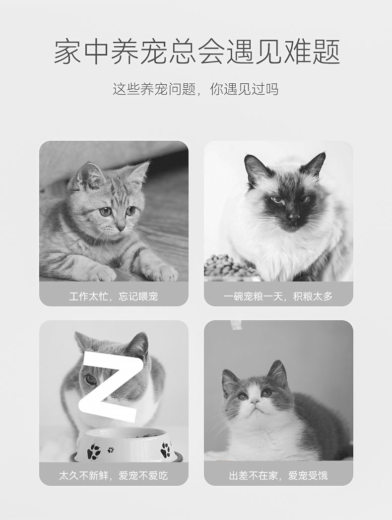 4531e155-ce60-4ca6-869a-a510c43e49f7.jpe