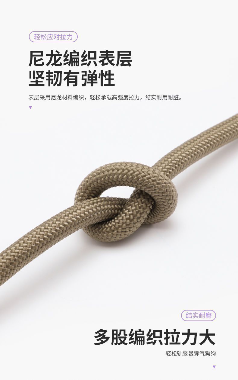 63d7d50e-3912-4dd8-b1c6-67422151d6f3.jpe