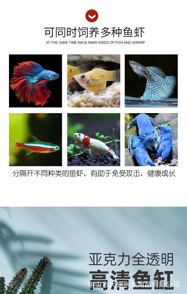 O1CN01BYDq6W26SKVms5sU5_!!2208