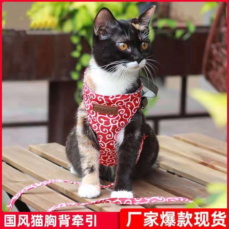 d24ee8811628a68995cff174075aef