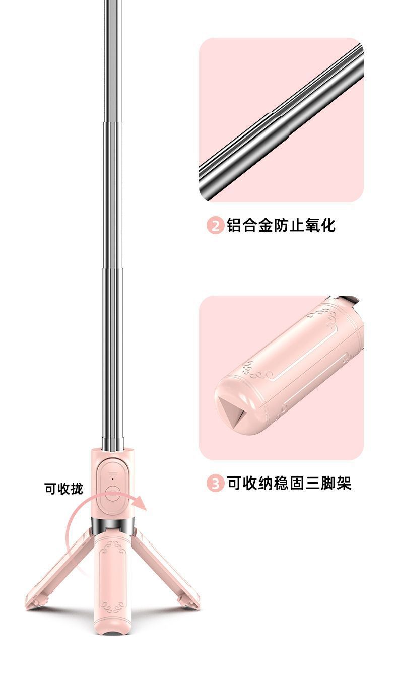 9f40b630-8209-4199-b150-1d75b6fbe518.jpe