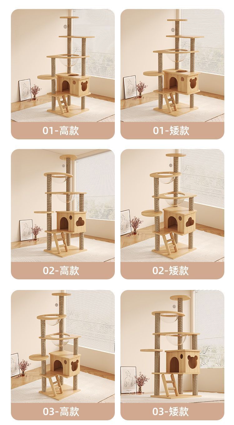 22df117a-56e3-468e-9b9a-f9fcc028dc8d.jpe