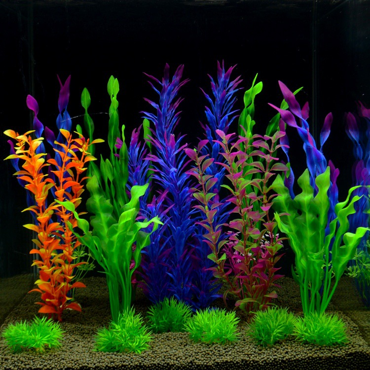 O1CN01DpN7LT1KVu60iA008_!!1035