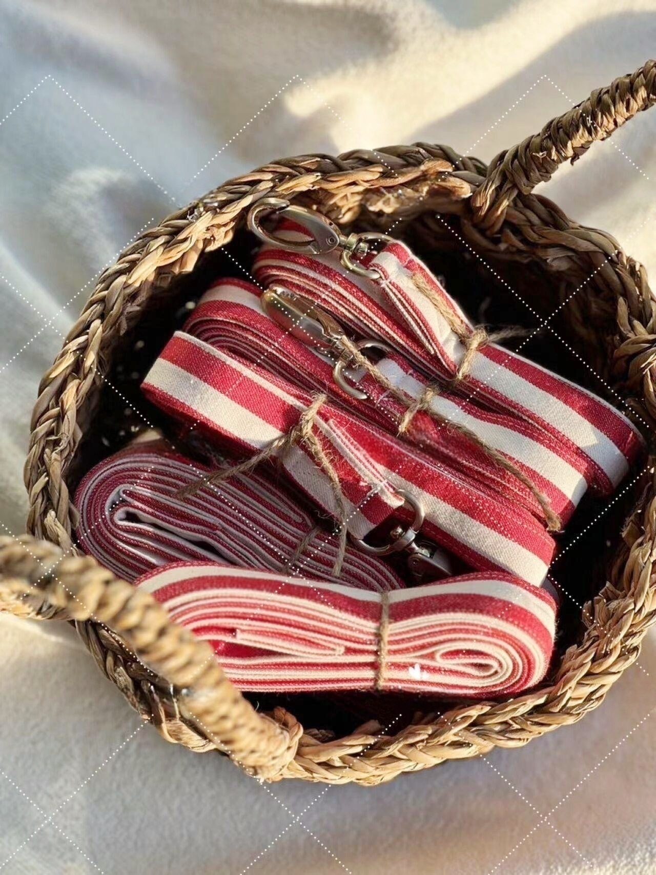 QQ图片20230807164217