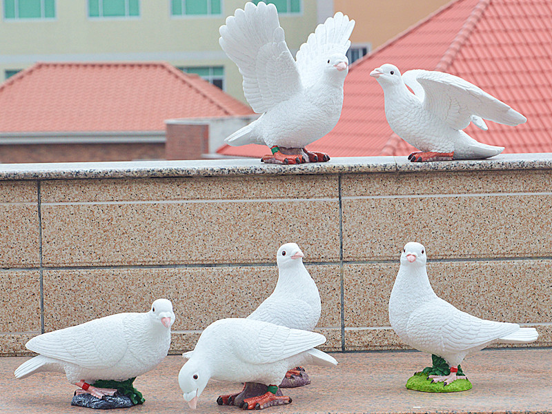 DSC_0064_副本.jpg