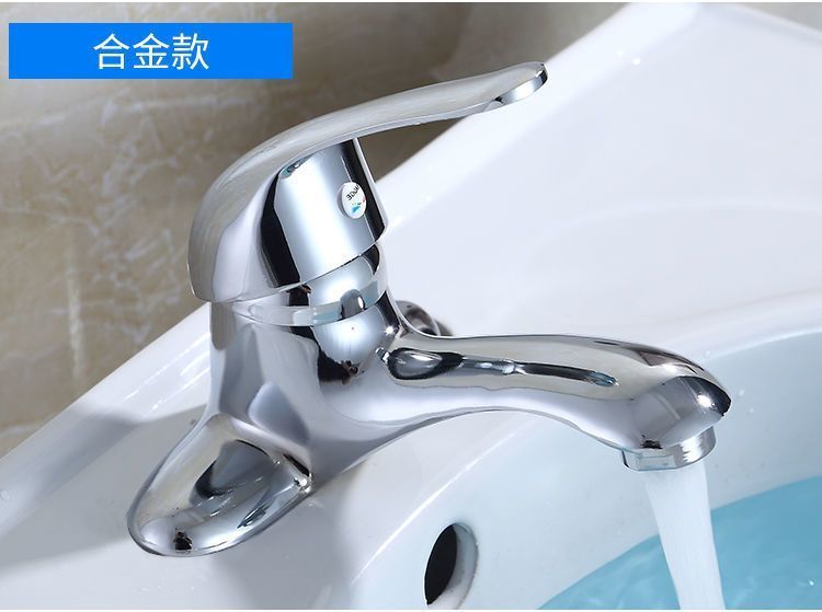 21fbe0e3-91fa-486d-98a2-4e09d28062b3.jpe