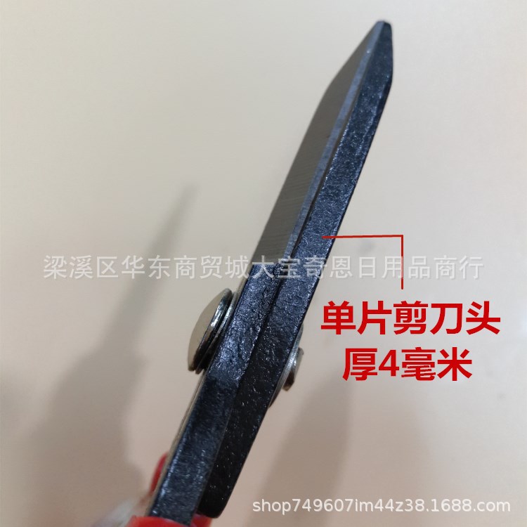 P70303-120751_副本.jpg