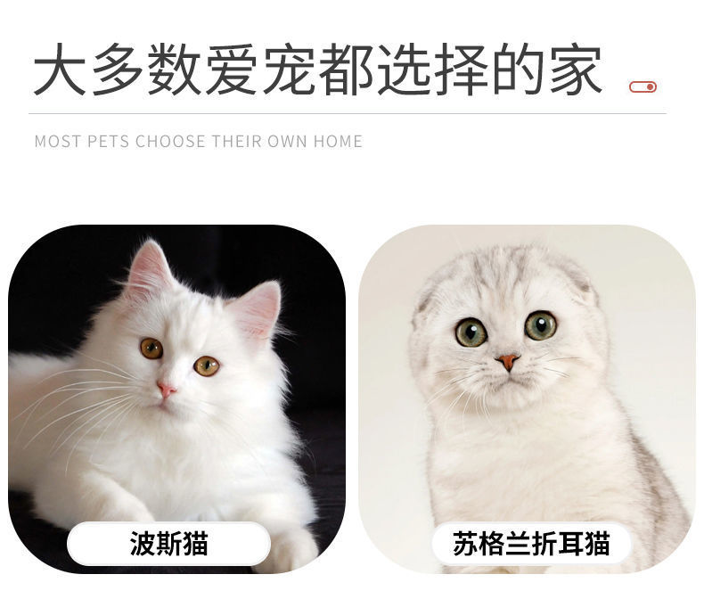 95c94749-0d0c-4dc7-bcd6-70860a470f49.jpe