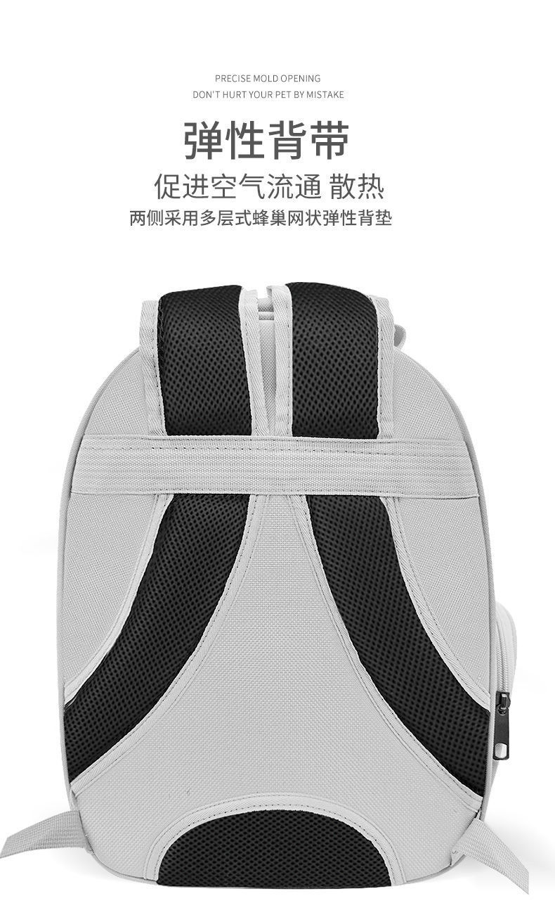 b8a6acb9-bfb9-4e6c-98d2-97e0c97e8d0c.jpe