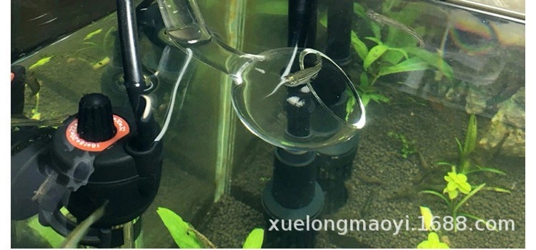 10361184827_1833854618.jpg_.we