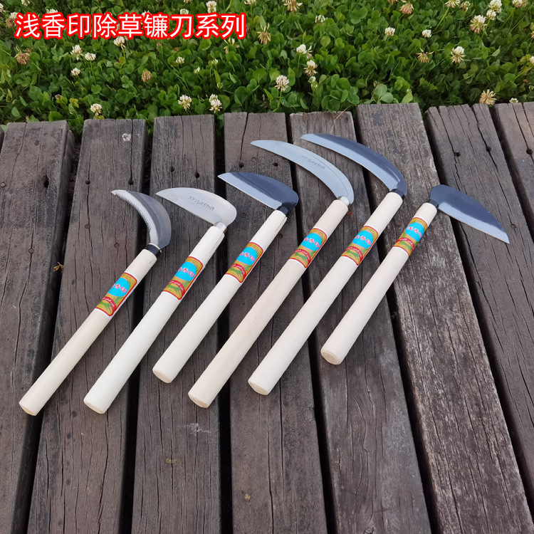 微信图片_20240612222518.jpg