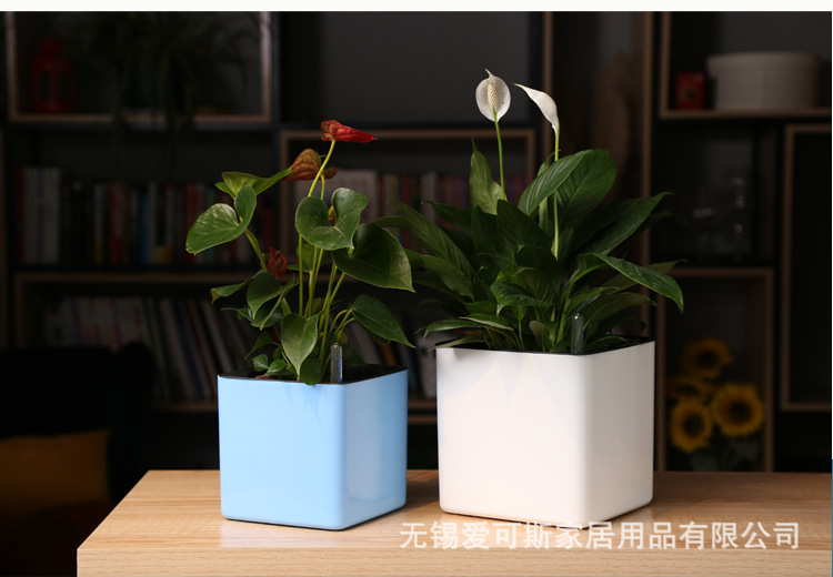 详情页_08.jpg