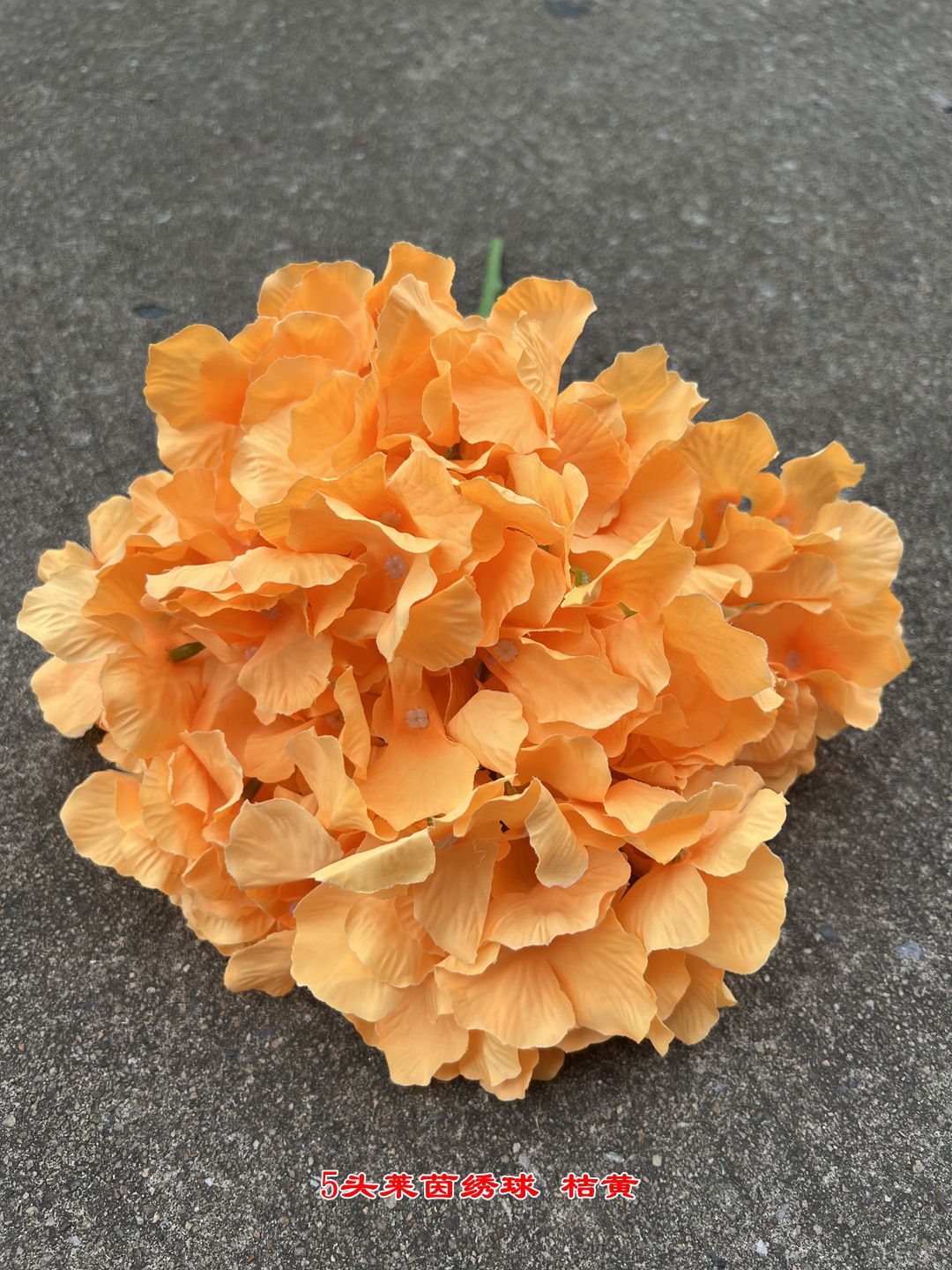 微信图片_20220818113631