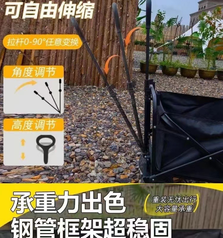 d272027a-8d7c-4881-99b6-f538ea98dda2.jpe