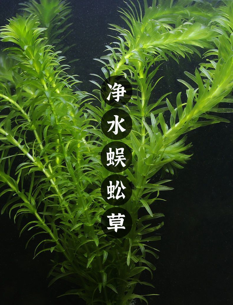 2db7ca8f-f389-4ed3-b356-30efb36d1b24.jpe