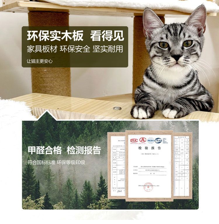 73efc68a-91d9-4c3f-9306-b8103cd40177.jpe