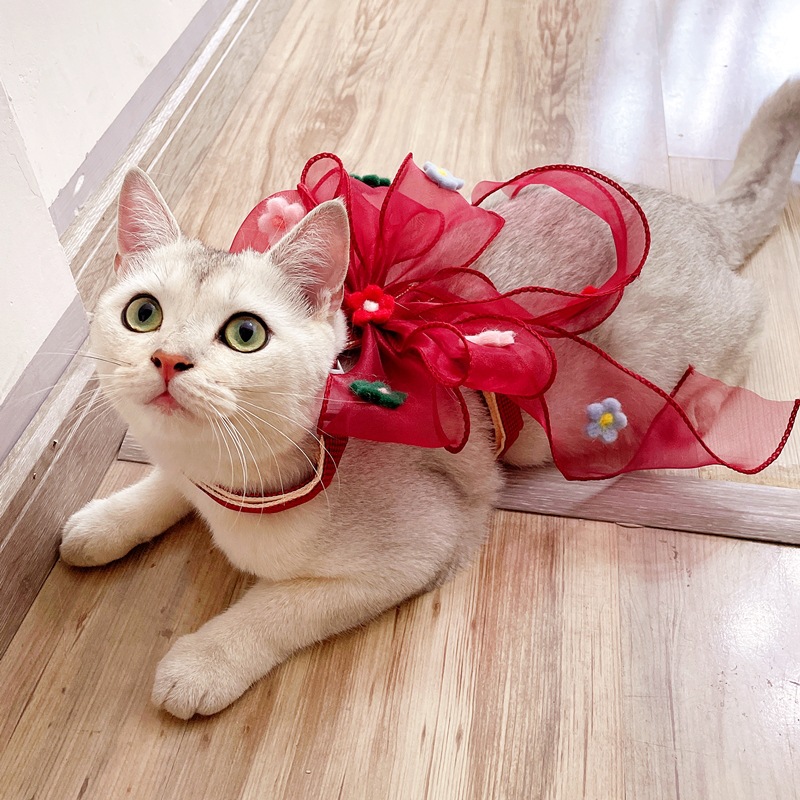 IMG_2481(20210901-151718)_副本