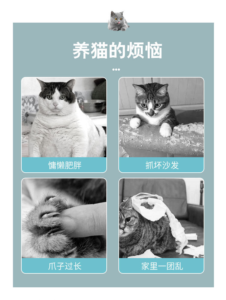 b11-b12-b5-b6-b7_04