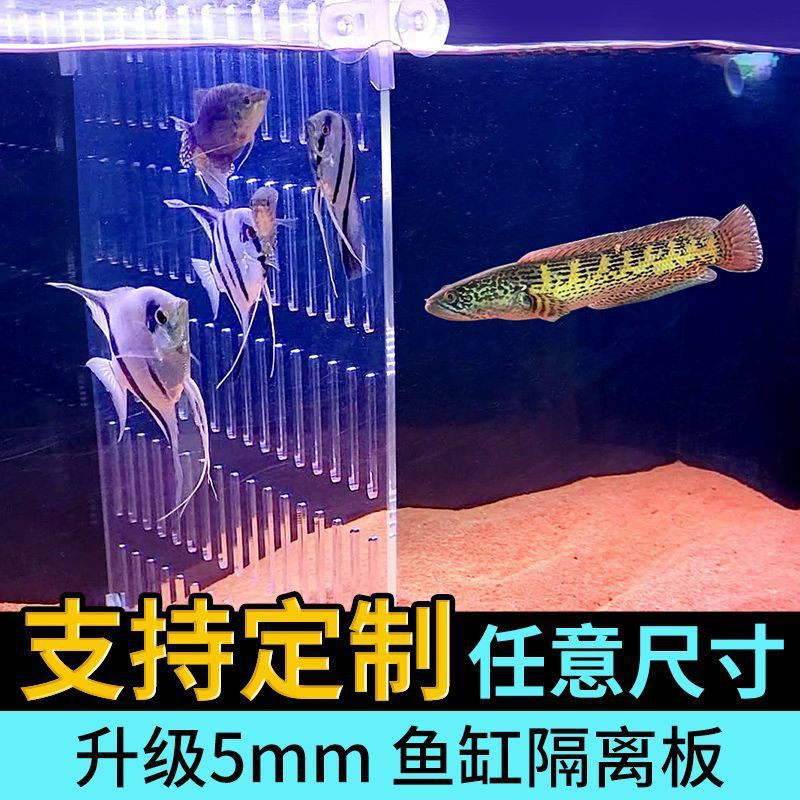 c22bf39d-8836-493b-84f8-c6f5e2ade8b1.jpe