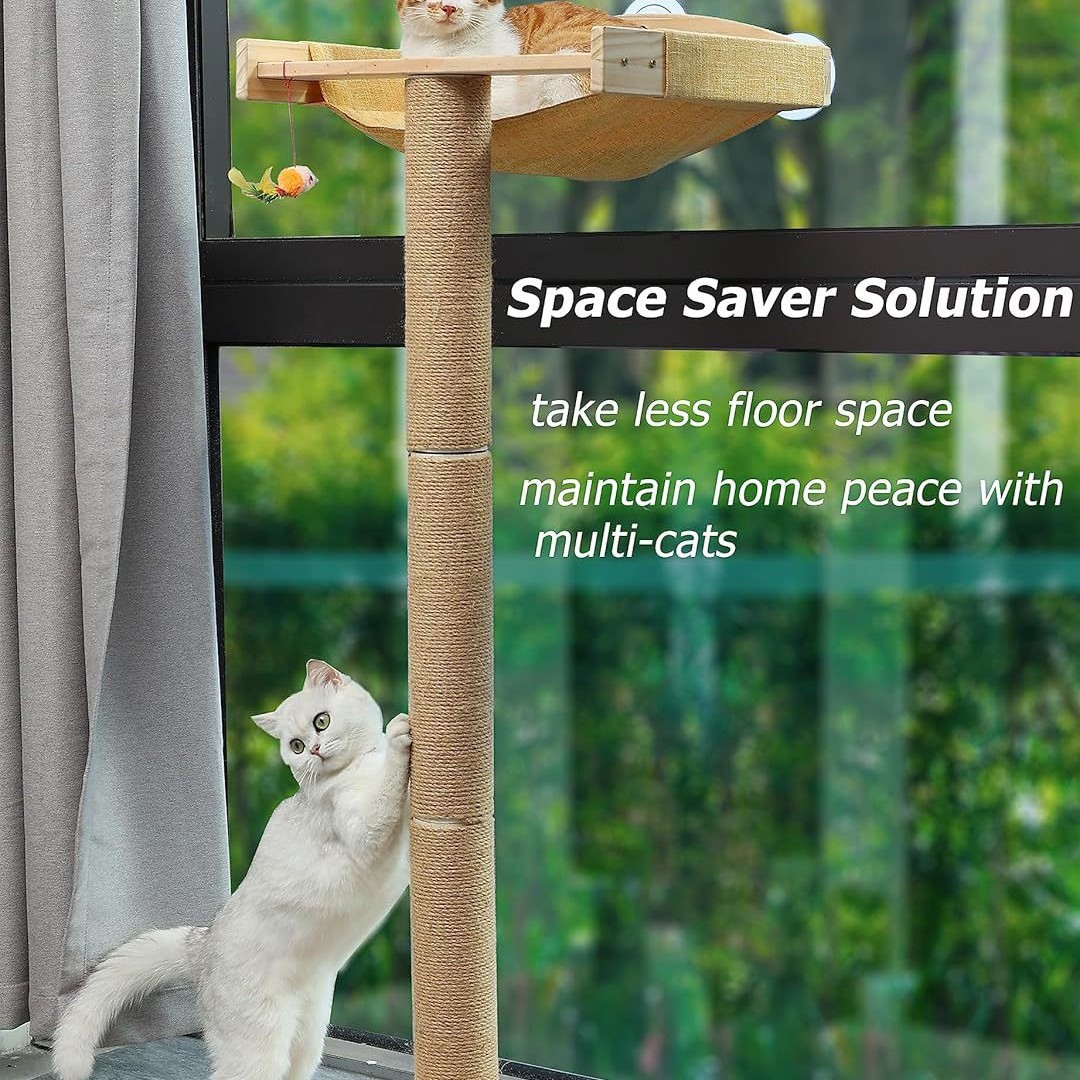 2025-04-14 10:45:30.jpg