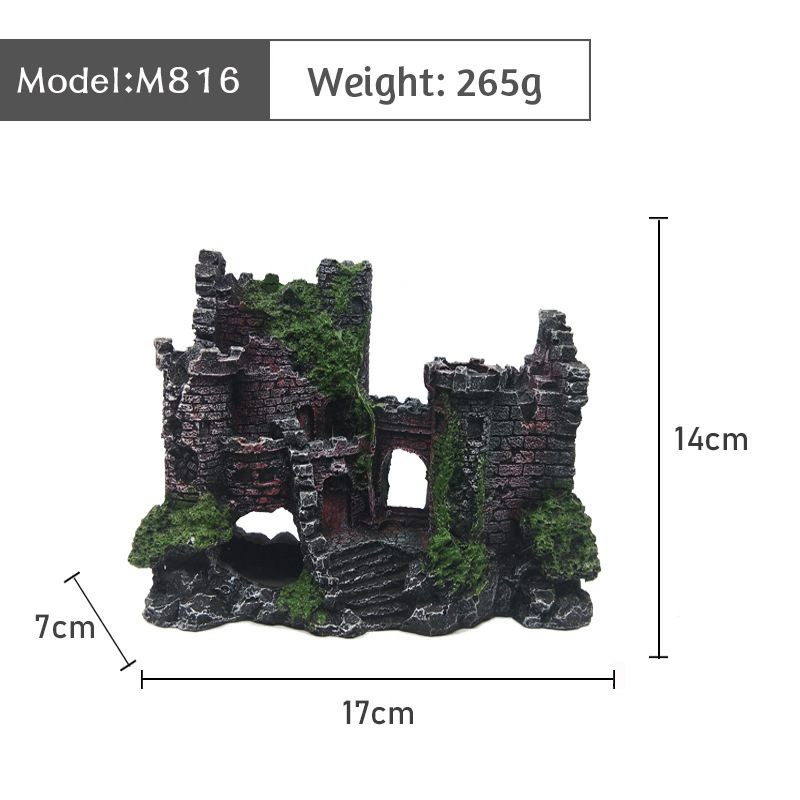 M816