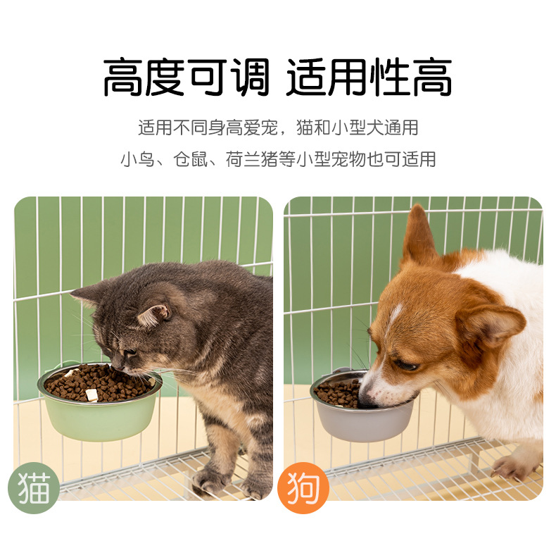 宠物碗_09.jpg