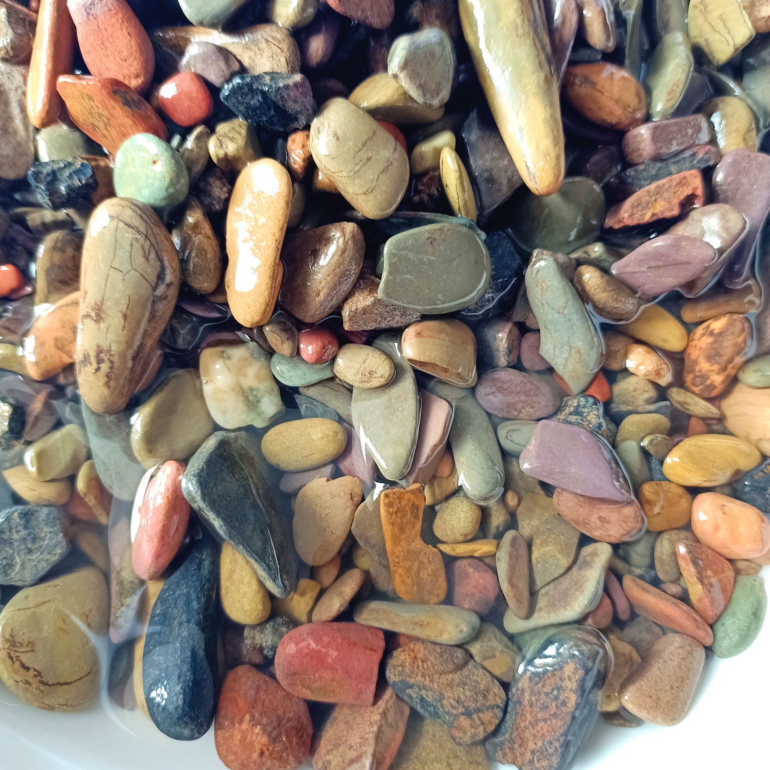 微信图片_20220614142530