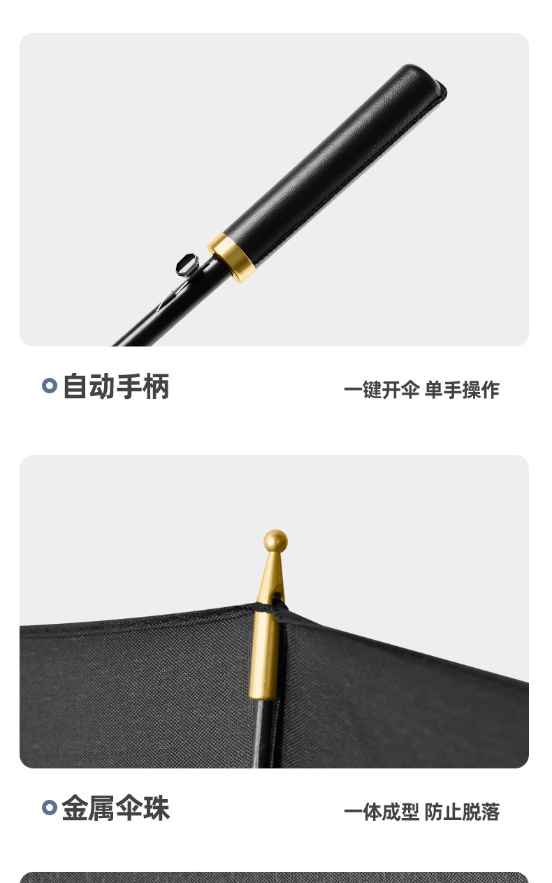 智贝下图_26.png