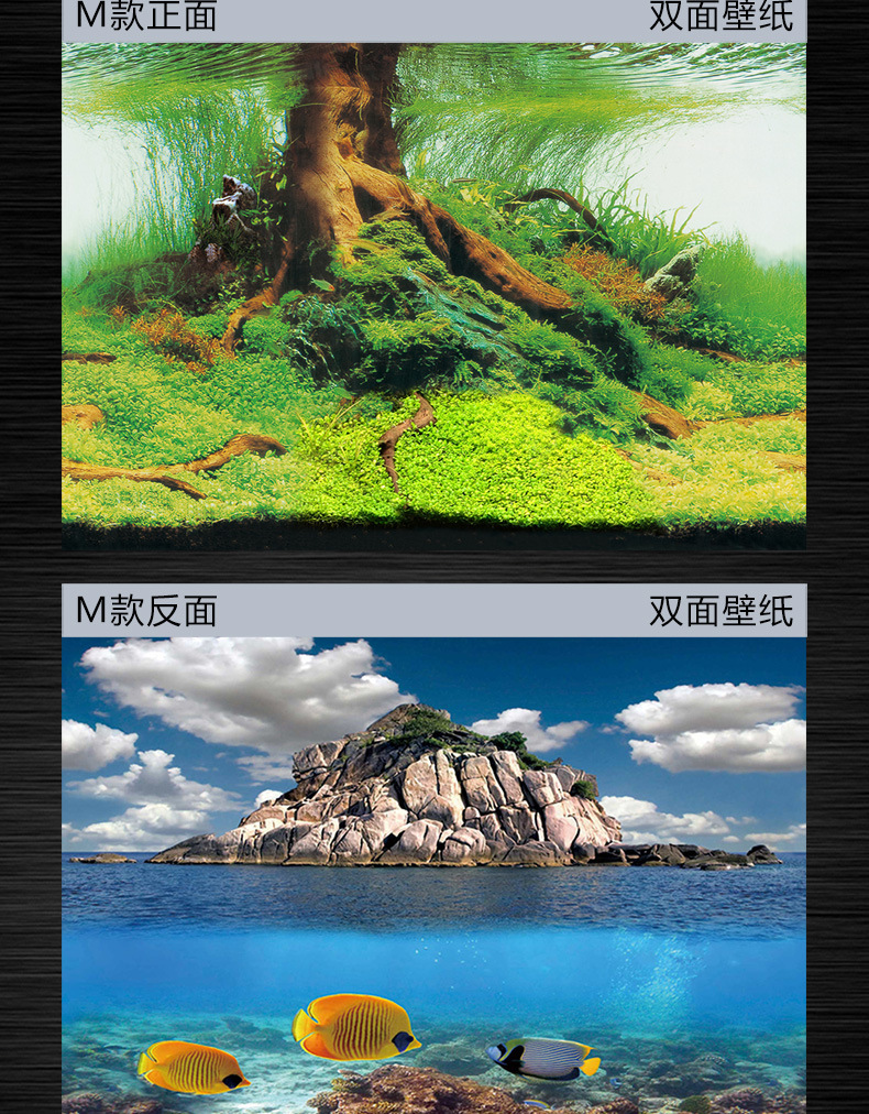 鱼缸壁画_新详情_18