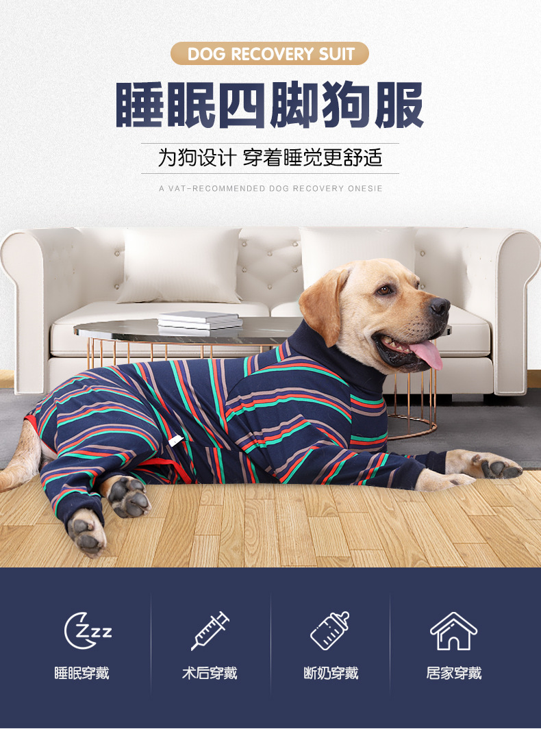 大狗四脚-详情_01