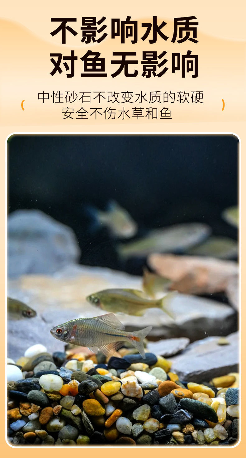 a6826376-68b4-407d-a288-8b117fd9e028.jpe