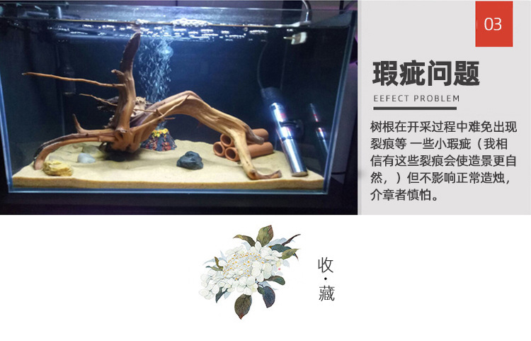 栖根新详情20220609_11