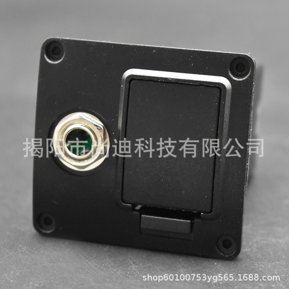 MI1153-Guitar pickup_33