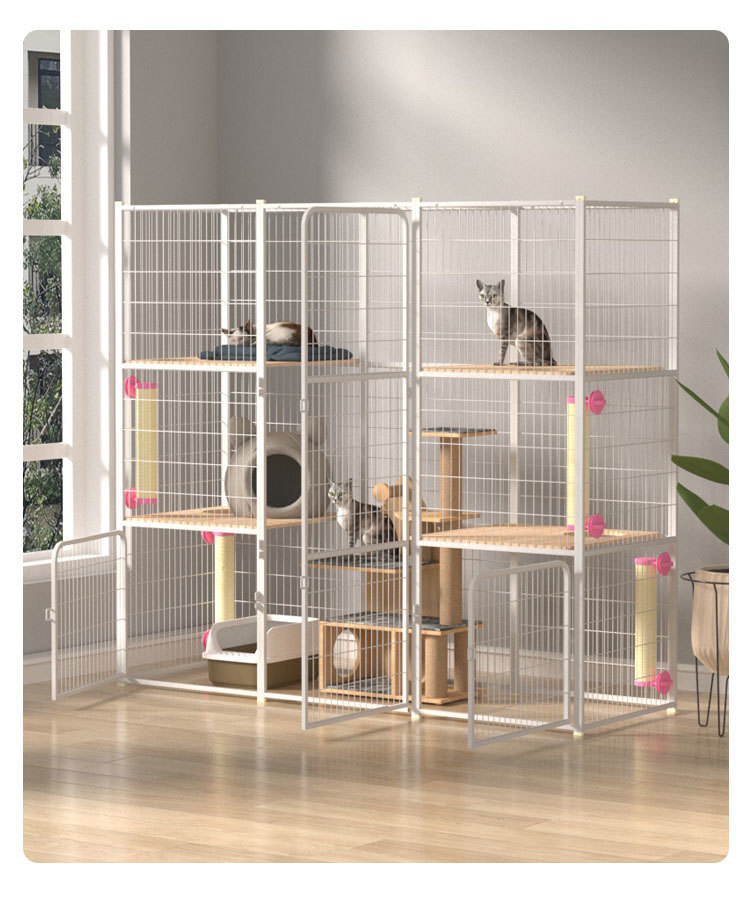 54cab79a-0e0b-4b10-9084-761b69c6ccf5.jpe