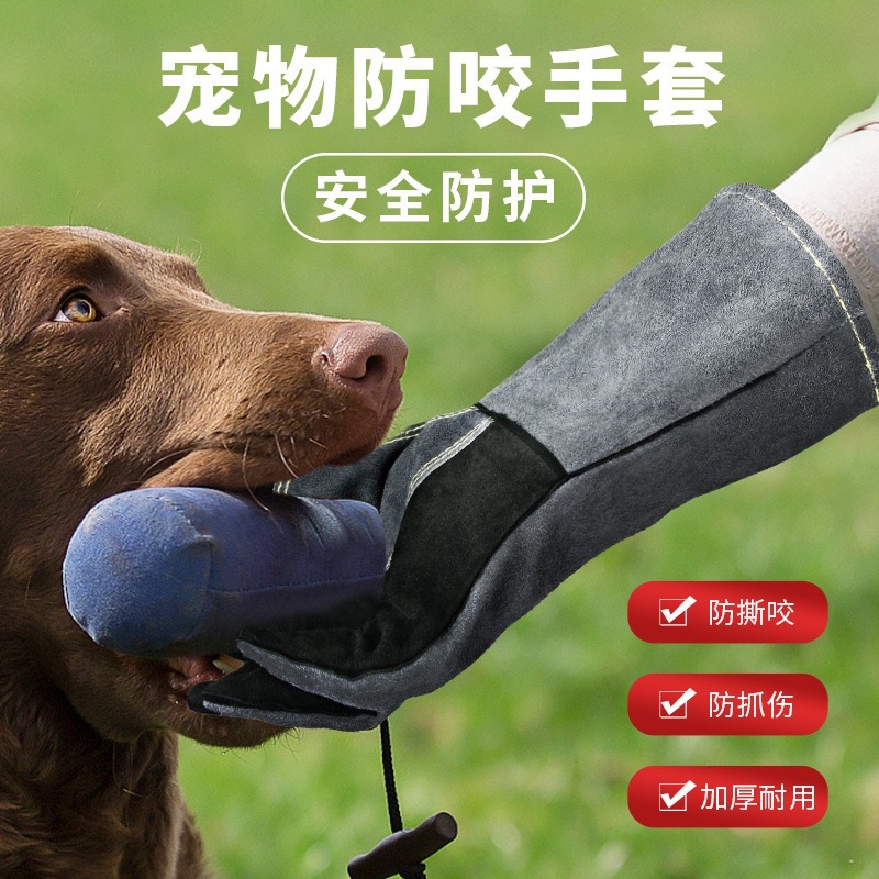 3031+牛皮+蓝色+黑托 (6)