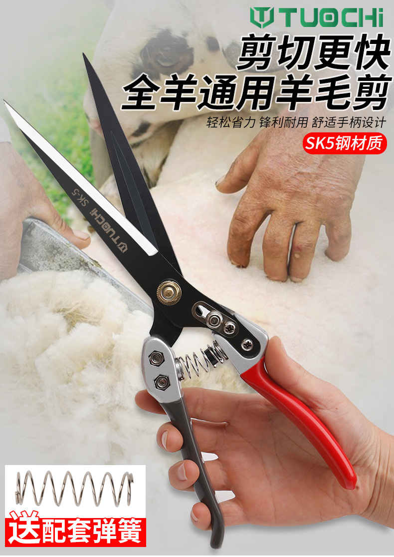 790详情_01.jpg