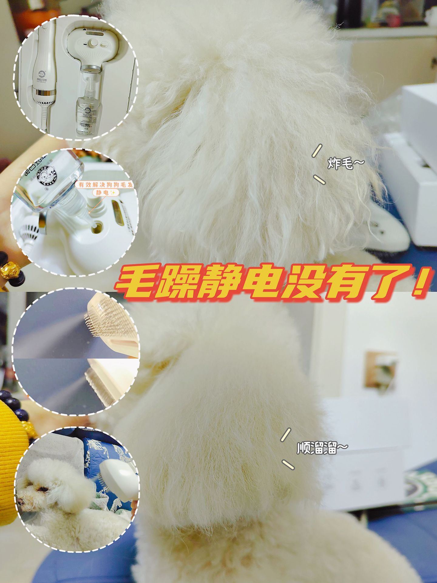 微信图片_20211217150830