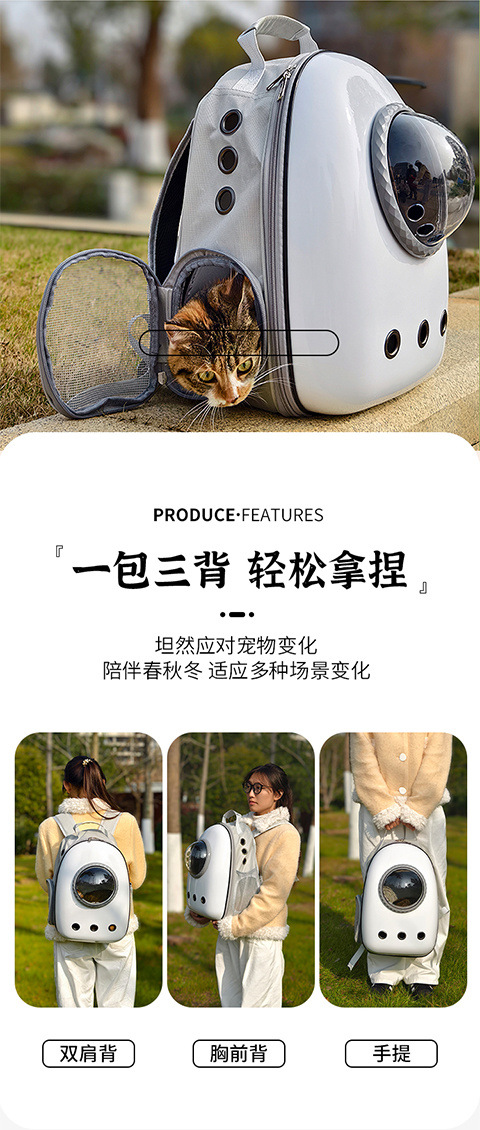 1ded4b47-48e2-48d3-b7b8-cf6cb688d6a0.jpe