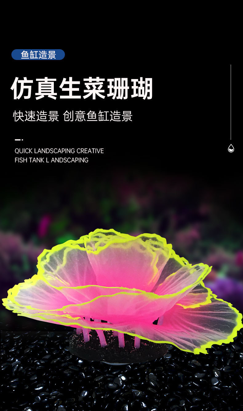 生菜珊瑚详情_01.jpg