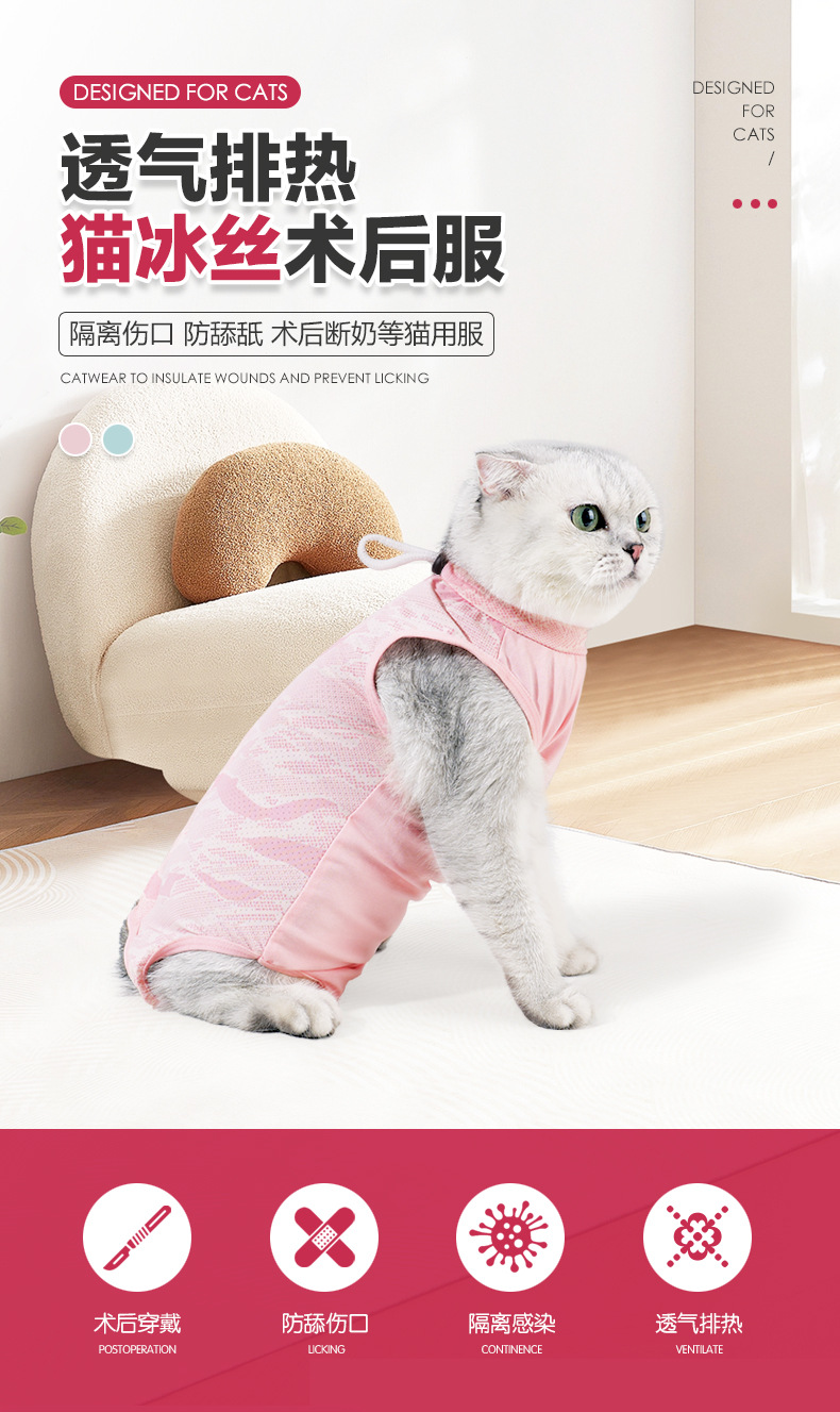 冰丝猫术后服_01.jpg