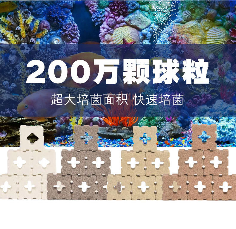 14564562765_159139953