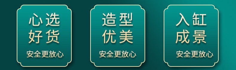 4849b3a8-917f-4d82-b793-1feb7132e34c.jpe