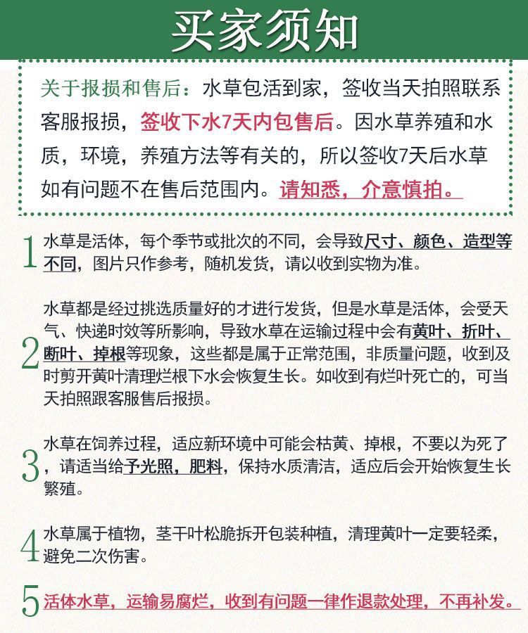 108a9cdd-33bb-4534-89ce-c4ade0dab35a.jpe